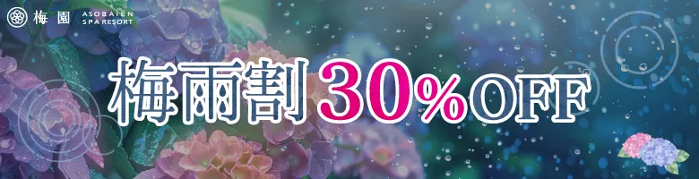 梅雨割 30%off