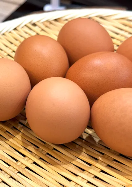 阿蘇の旬な食材